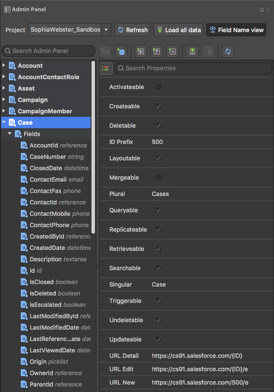 The admin panel showing some fields on the Case object and some of it's properties